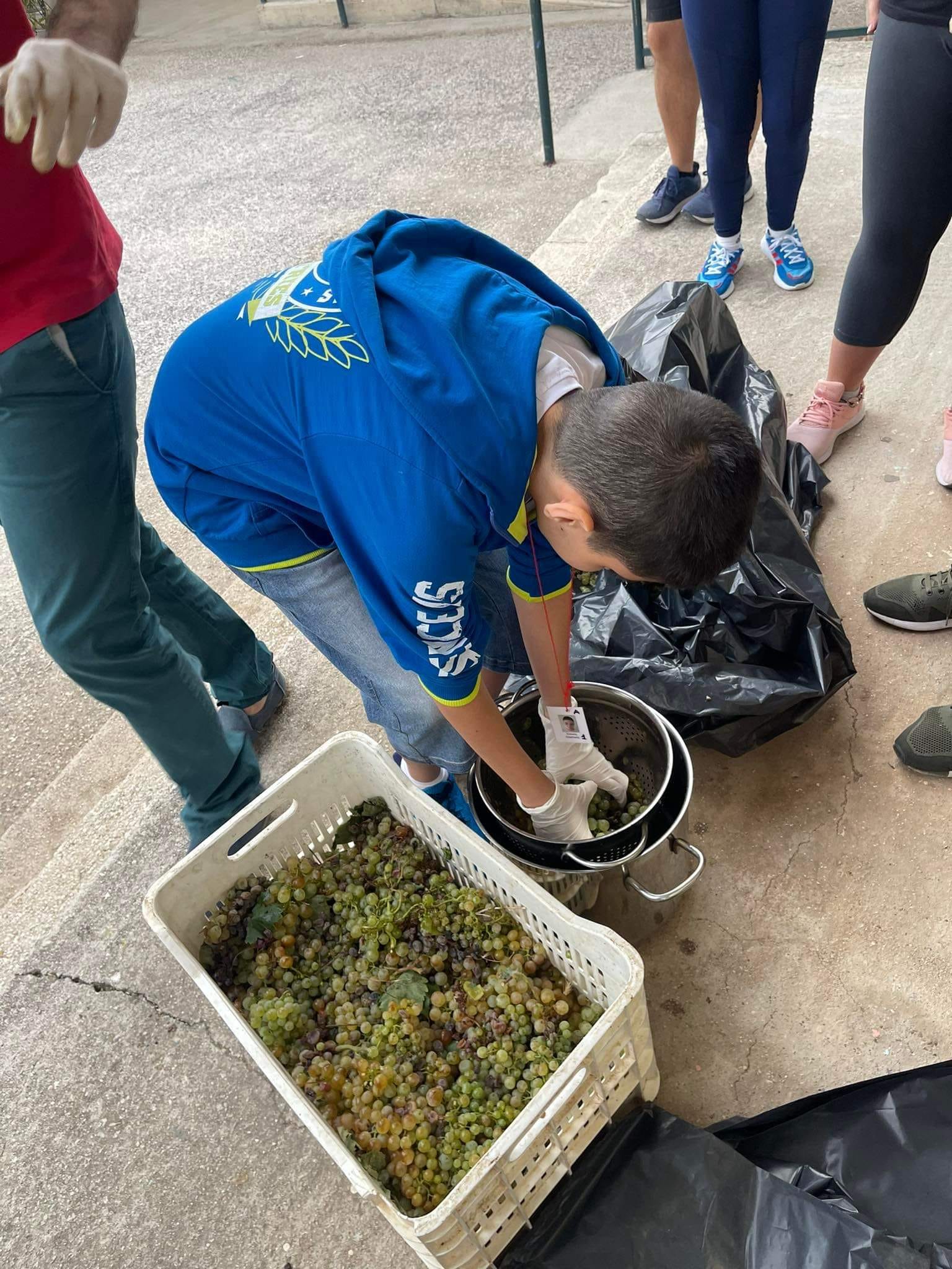 327059118 527984675843261 6338659888783648353 n